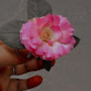 Meet your Posher, Sandy